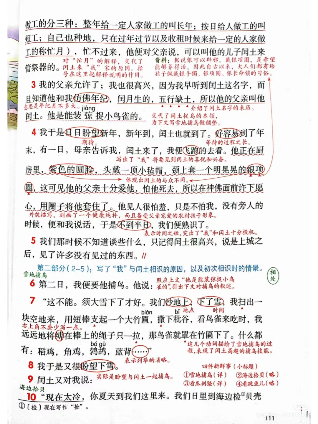 闰土是哪里人(闰土是哪里人?为什么会有海办边拾贝?)