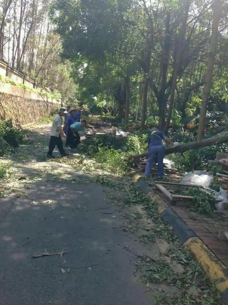 天鸽经过哪里(天鸽经过哪里生长)